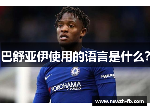 巴舒亚伊使用的语言是什么？